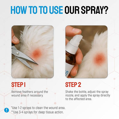 SILVER GRADE Wound Spray for Chicken from Birds & Chicken Antibiotics Alternative to Help with Pecking Sores, Bumblefoot, Cuts – Poultry Spray with Silver – GMOs Free – 4-Oz Bottle