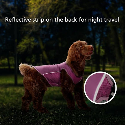 UPF 50+ Sun Protection Dog T-Shirt, 2 Pack Lightweight Sleeveless Dog Vest for Medium Dogs Girl – Reflective Strips, Quick-Dry Pet Apparel, Sports Fan Shirt P23ST00504XXL