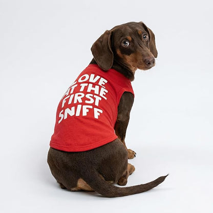 Fitwarm Love at First Sniff Dog Shirt - Summer Dog Clothes, Funny T-Shirt, Lightweight Breathable Cotton, Red, Small
