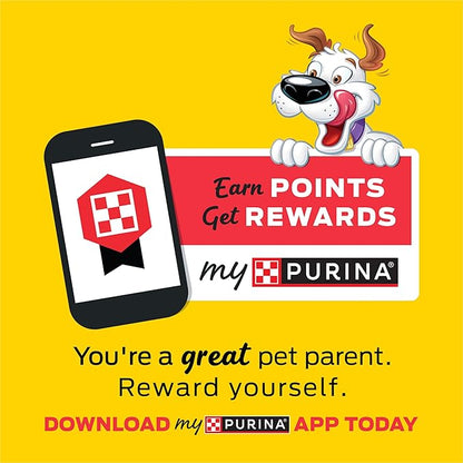 Purina Beggin' Strips With Real Meat Dog Treats With Bacon and Beef Flavors - (Pack of 2) 26 oz. Pouches