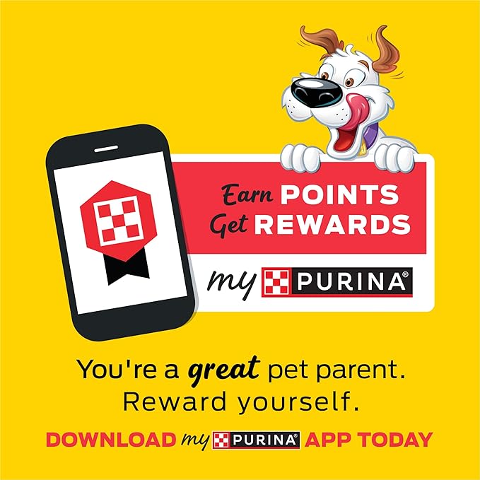 Purina Beggin' Strips With Real Meat Dog Training Treats With Bacon and Cheese Flavors - (Pack of 2) 26 oz. Pouches
