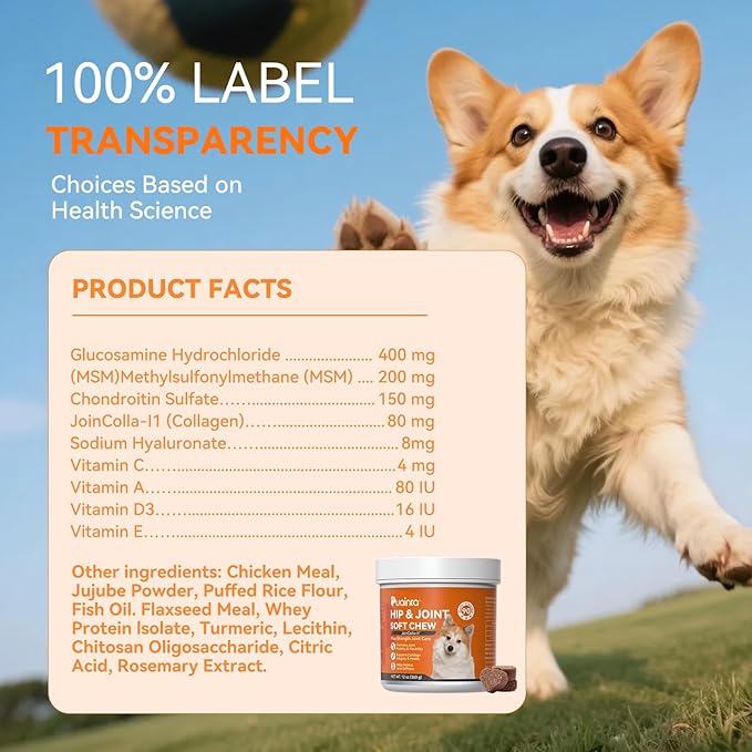 PUAINTA Hip & Joint Soft Chews for Dogs & Cats – Glucosamine, Chondroitin, Collagen & MSM for Joint Support, Mobility & Flexibility, Senior & Small/Medium Breeds, Chicken Flavor (90 Count)