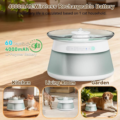 Glass Smart Cat Water Fountain Filterless | Pet Drinking Water Fountain Bowl No Filter, Battery Operated Cat Water Fountain