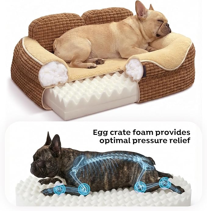Veehoo Cute Small Dog Bed, Orthopedic Waterproof Pet Beds for Small Dogs, High Back Non-Slip Bottom and Egg-Crate Foam Puppy Couch Sofa with Washable Removable Cover, 24"