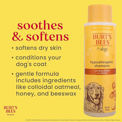 Burt's Bees for Pets Hypoallergenic Dog Shampoo with Shea Butter and Honey, Gentle Fragrance Free Shampoo for Sensitive Dogs with 95% Natural Origin Skin and Coat Formula, 16 Fl Oz