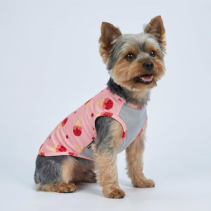 Fitwarm 2 Pack Ice Cream & Cherry UPF 50+ UV Sun Protection Dog Shirt, Lightweight Cooling Vest, Quick Dry Summer Clothes for Small Dogs Girl, Pet Outfit, Pink, Light Sky Blue, Medium