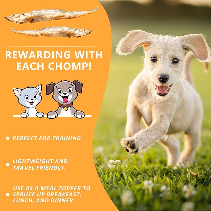 Freeze Dried Capelin with Roe Dogs Treats, Whole Fish for Dog & Cat - Single Ingredient, High Protein, Rich in Omega 3 for Skin & Coat Health, Grain-Free, Wild-Caught (6.4 oz)