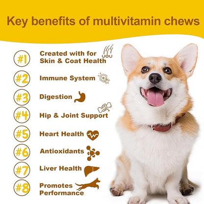 Maximum Support Daily Dog Multivitamin – Advanced Care Formula for Fast Relief of Hip & Joint, Skin & Coat, Immune & Allergy Health – Glucosamine, Chondroitin, Probiotics & Omega Fish Oil – 90 Chews