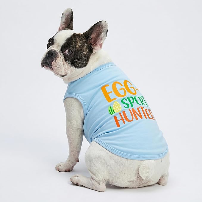 Fitwarm Egg-spert Hunter Dog Easter Outfit, Summer Clothes for Small Dogs Boy Girl, Pet Outfit, Blue, Red, Green, Orange, XXL