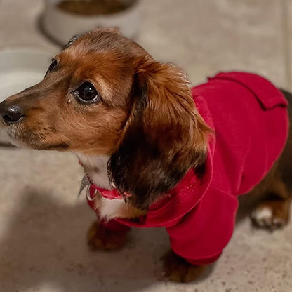 Jecikelon Winter Dog Hoodie Sweatshirts with Pockets Warm Dog Clothes for Small Dogs Chihuahua Coat Clothing Puppy Cat Custume (Wine red, Small)