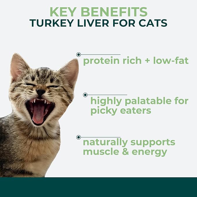 Momentum Carnivore Nutrition Freeze-Dried Turkey Liver Cat Treats – Single-Ingredient, High-Protein, All-Natural, Grain-Free, Naturally Flavorful & Lean – Made in USA – 1.9 oz Bag