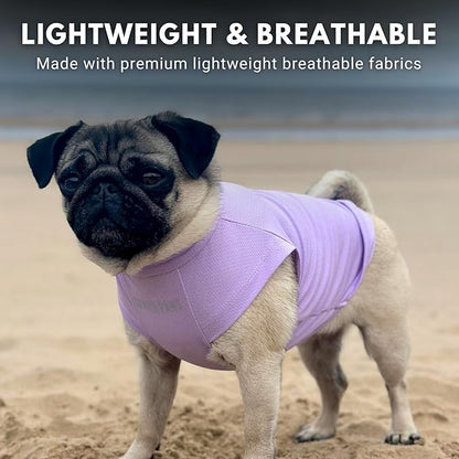 Spark Paws Sunblock Dog T-Shirt, SPF30 Protection, Lightweight Breathable Quick Dry for Dogs with Sensitive Skin - Purple & Peach (Set of 2) - M