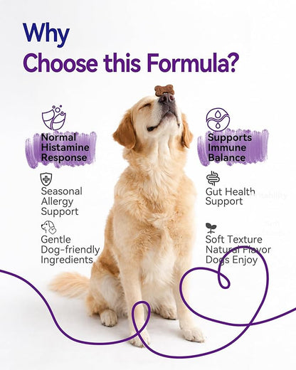 Dog Allergy Relief Chews – Seasonal Allergy Support for Dogs with Environmental Sensitivities, Immune & Gut Health Soft Chews for Allergy-Prone Dogs