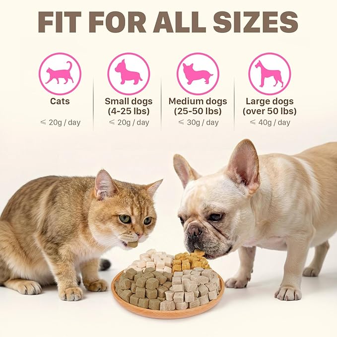 Freeze Dried Chicken Treats for Dogs & Cats, Single Ingredient High Protein Snack for Training, Picky Eaters & Food Topper, 6 oz