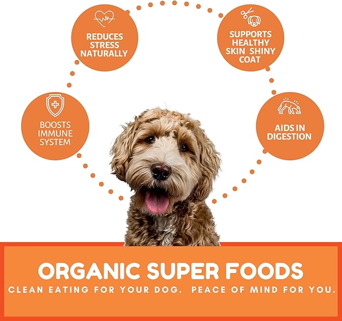 Dog Mamma's Organic Pumpkin Snaps Recipe - Certified Organic Dog Treats 6 oz