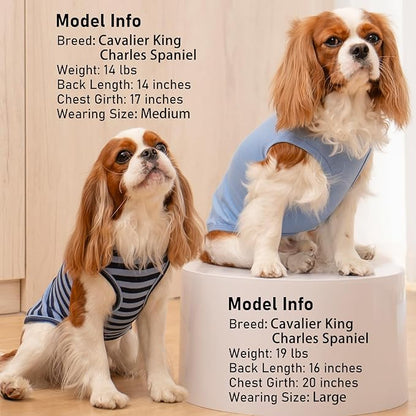 KYEESE 2Pack Dog Shirt, Soft Striped Dogs T Shirts, Lightweight Doggie Tank Top Cat Clothes, Sleeveless Dog Shirt for Small Dogs, Stretchy Pet Vest, Dark Blue, Medium