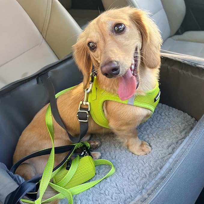 Best Pet Supplies Voyager Step-in Air All Weather Mesh Harness and Reflective Dog 5ft Leash Combo with Neoprene Handle, for Small, Medium and Large Breed Puppies - Set (Lime Green), Small