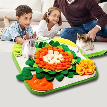 Rabbit Foraging Mat Snuffle Mat for Small Animals Rabbit Toy 11.8"x11.8" Rabbits Snuffle Mat Pets Interactive Feeding Matt Treat Dispenser for Bunny Guinea Pigs Ferrets Chinchillas (Green and Orange)