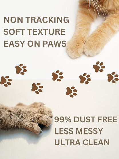 Plant-Based Bamboo Fiber Cat Litter, Green & Eco Friendly, Powerful Odor Control, No Chemicals, Instant Clumping, 99% Dust Free, 5.3Pounds, Fresh Bamboo Scent