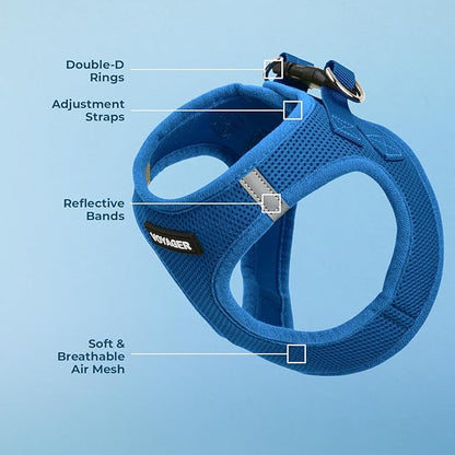 Best Pet Supplies Voyager Step-in Air Harness - All Weather Mesh, Reflective, No Pull Harness for Dogs, Cats - Secure with Hook & Loop Fastener, Buckle, Double D-Rings - Royal Blue, M