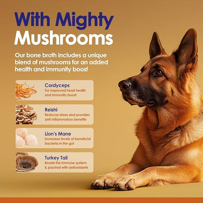Grass-Fed Beef Bone Broth Powder for Dogs - Rich in Protein & Collagen, Enhanced with Mushroom Blend for Strong Bones, Joint Flexibility, Digestive Comfort & Immune Support - Made in USA - 4.2oz