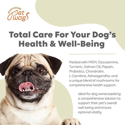 Daily 10-in-1 Dog Wellness Chews – Joint, Gut, Immune, Skin & Coat, Energy & Vitality Support – Glucosamine, Probiotics, Salmon Oil & Turmeric – 60 Soft Chews