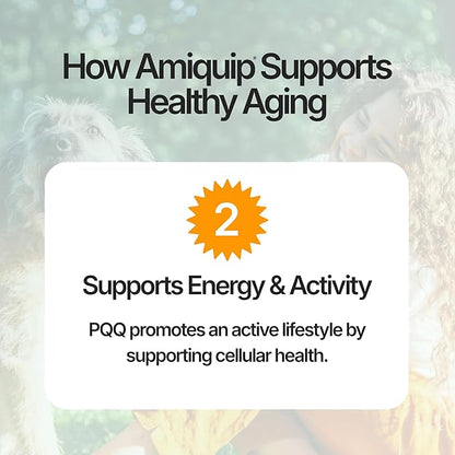 Amiquip Senior Dog Supplement – Joint Support, Cellular Vitality & Longevity for Healthy Aging – 90-Day Soft Chews with PQQ + Palmitoylethanolamide