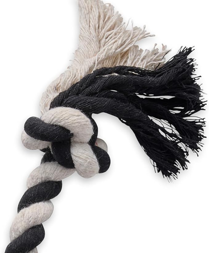 Pet Passion Natural Rubber Tire and Organic Cotton Rope Pull and Chew Dog Toy for All Pet Breeds, Black, Large