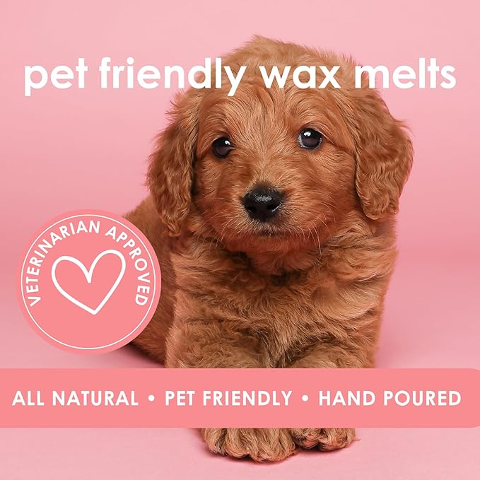 Pet Safe Wax Melts for Dogs | Non Toxic Soy Wax Melts | Natural, Paraffin-Free, Clean Burning | Odor Eliminating Wax Cubes | Harvest Howls
