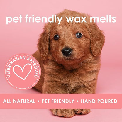 Pet Safe Wax Melts for Dogs | Non Toxic Soy Wax Melts | Natural, Paraffin-Free, Clean Burning | Odor Eliminating Wax Cubes | French Lilac