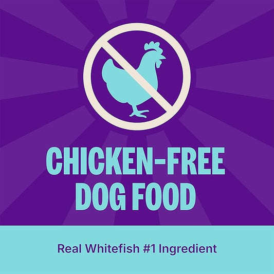 Wellness CORE Digestive Health Adult Dry Dog Food, Wholesome Grain Kibble, Sensitive Stomach, Natural, High Protein, Chicken Free, Whitefish and Brown Rice Recipe, 22 lb Bag