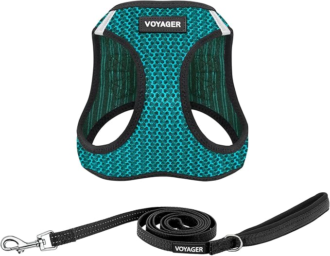 Best Pet Supplies Voyager Step-in Air All Weather Mesh Harness and Reflective Dog 5ft Leash Combo with Neoprene Handle, for Small, Medium and Large Breed Puppies - Set (Turquoise 2-Tone), Small