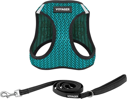 Best Pet Supplies Voyager Step-in Air All Weather Mesh Harness and Reflective Dog 5ft Leash Combo with Neoprene Handle, for Small, Medium and Large Breed Puppies - Set (Turquoise 2-Tone), Small