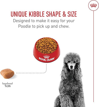 Royal Canin Breed Health Nutrition Poodle Adult Dry Dog Food, 10 lb Bag