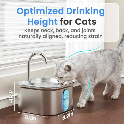 Cat drinking water from a pet fountain with text on optimized drinking height.