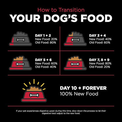 Go! Solutions Skin + Coat Care Lamb Dry Dog Food with Grains, Chicken-Free, Healthy Kibble with Omega-3s & 6s for Soft, Shiny Fur, for Puppies, Adults, & Seniors, 12 lb Bag