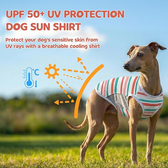 UPF 50+ Sun Protection Dog T-Shirt, 2 Pack Lightweight Sleeveless Dog Vest for Small Medium Dogs Girl – Reflective Strips, Quick-Dry Pet Apparel, Sports Fan Shirt P23ST00512XL