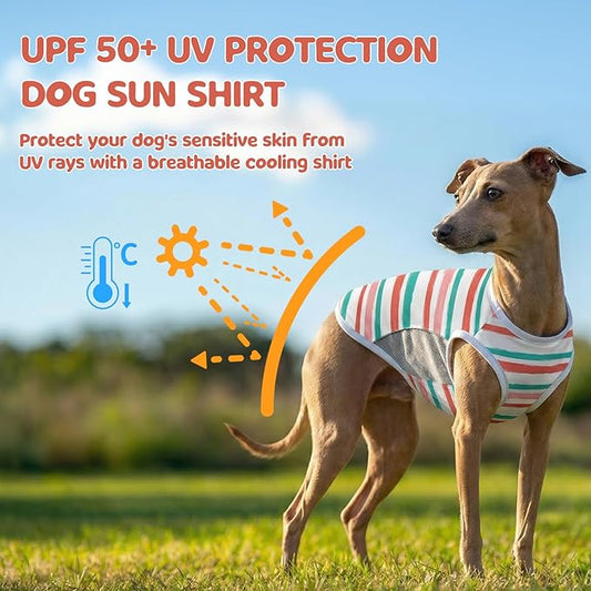 UPF 50+ Sun Protection Dog T-Shirt, 2 Pack Lightweight Sleeveless Dog Vest for Small Medium Dogs Girl – Reflective Strips, Quick-Dry Pet Apparel, Sports Fan Shirt P23ST00512L