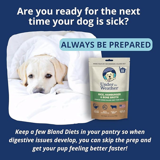 Under The Weather Easy to Digest Bland Dog Food Diet for Sick Dogs | Contains Electrolytes | Gluten Free, Freeze Dried 100% Human Grade Meats | 6 Pack - Rice, Hamburger & Bone Broth