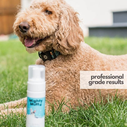 Mighty Mutt Hypoallergenic Waterless Shampoo for Dogs | Dry Shampoo for Dogs | Waterless Foam No Rinse | Anti-Itch, Soothing and Deodorizing | Spring Meadow | 8 Fl Oz