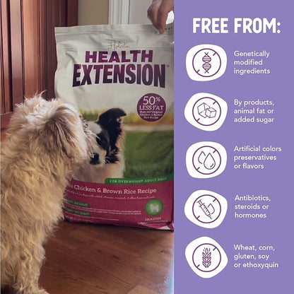 Health Extension Lite Chicken & Brown Rice Dry Dog Food, Low Fat Formula Supports Healthy Weight, with Probiotics & Superfoods for Digestion & Coat Health (30 lb)
