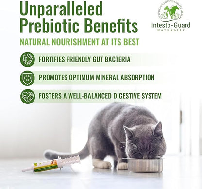 Probiotics Paste for Dogs Prebiotic for Canine, Gut Support, & Immune Boost, All Natural with 1 Billion per ML Includes (MOS)+ Beta Glucans + D-Mannose, No Animal by-Products - 30ML Single Tube