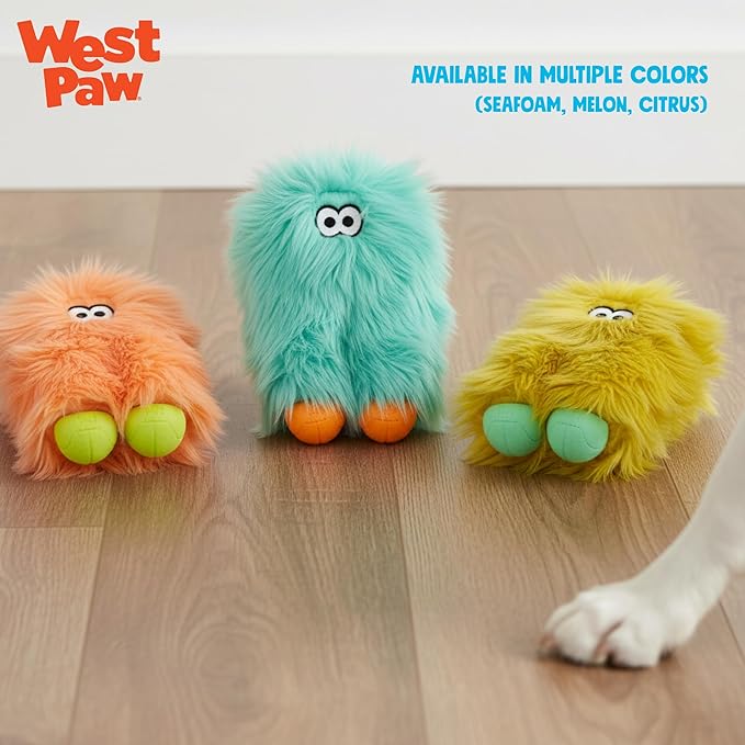 WEST PAW Rowdies Astrid Durable Plush Dog Toy with Reinforced Seams and Chew Resistant Design for Tough Play Safe Indoor or Outdoor Fun for Dogs Who Deserve the Best - Seafoam