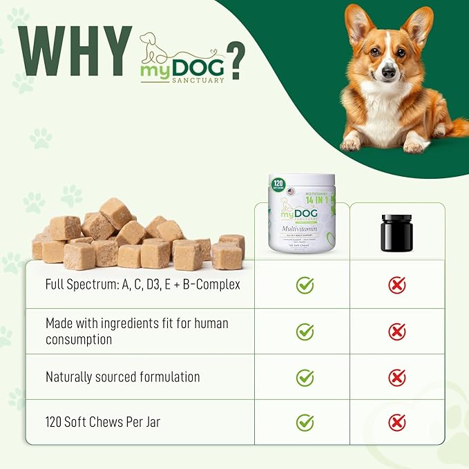 14 in 1- Multivitamin for Dogs 120 Chews - Daily Support for Active & Aging Dogs Supplies/Vitamin A, D3, E, C, and B-Complex for Joint, Skin, Coat, Immune - Dog Multivitamin, Bacon