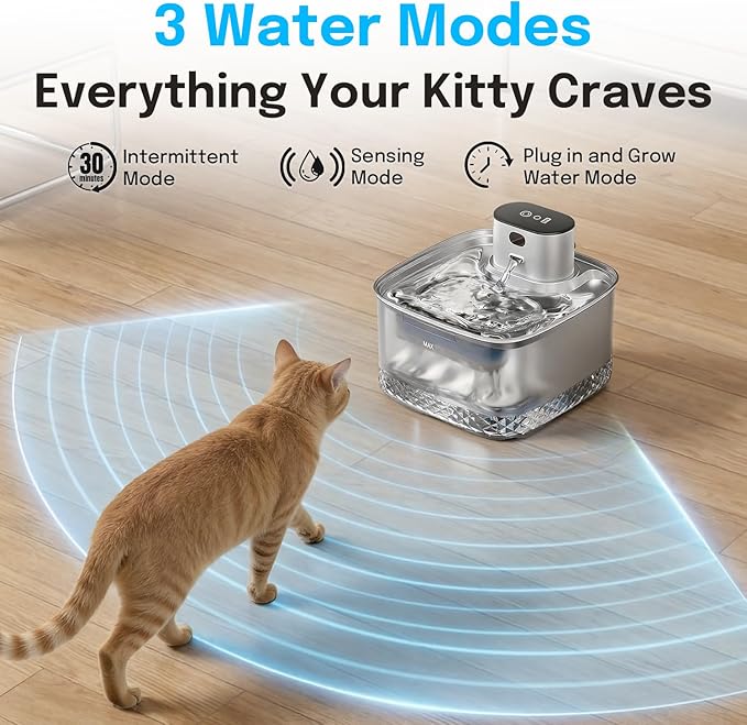 Wireless Cat Water Fountain, 2L Rechargeable Pet Fountain with Stainless Steel Tray, Ultra Quiet Pump, Motion Sensor & Anti-Dry Burn, Auto Water Dispenser for Cats Dogs, White (1 Filter)
