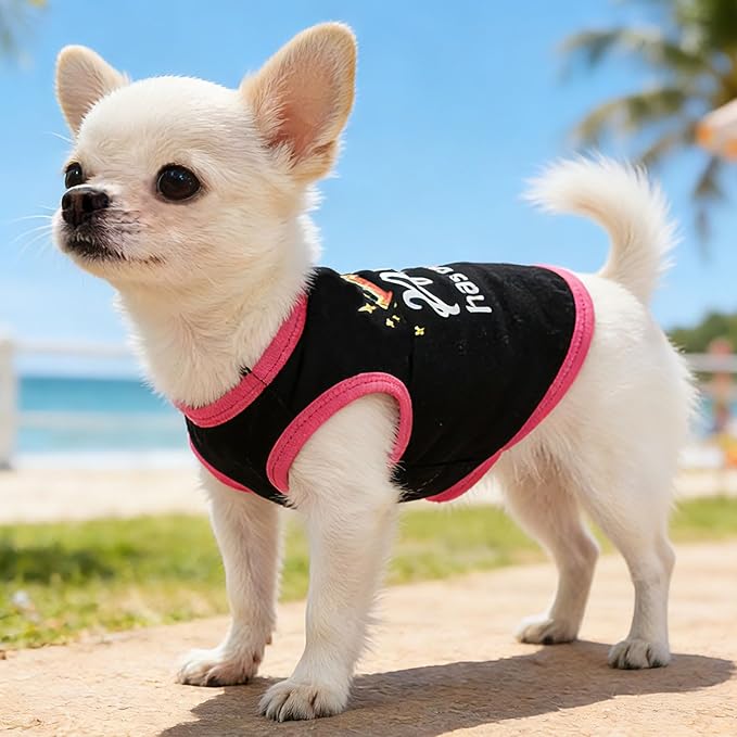 4 Pack Dog Shirt for Small Dogs Spring Summer Printed Puppy Clothes Cute Pet T Shirts Dog Clothes for Small Dogs Cats Girl (Grey+Pink+Purple,Black, Medium)