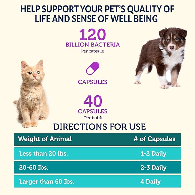 Vetbiome Plus High Strength Probiotics for Pets (80 Capsules) - 120 Billion CFU, 9 - Strain Formula – Third Party Tested - Made in U.S.A (80 Caps (2 Pack))
