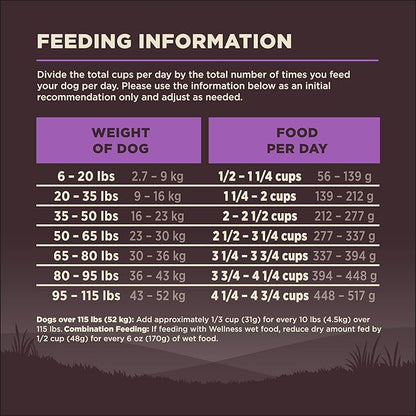 Wellness CORE Age Advantage Senior Dry Dog Food, Grain Free Kibble, Natural, High Protein, Turkey and Chicken Recipe, 12 lb Bag
