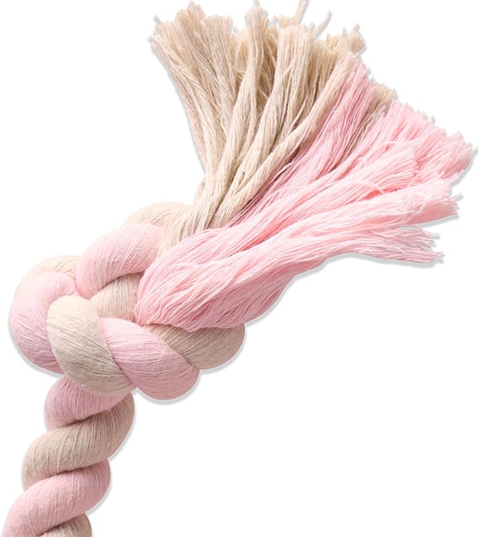 Pet Passion Natural Rubber Tire and Organic Cotton Rope Pull and Chew Dog Toy for All Pet Breeds, Blush, Medium