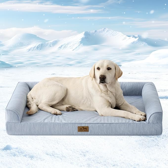 Cooling Dog Bed, Orthopedic Foam Dog Bed with Sides, Removable Washable Cover & Waterproof Lining and Nonskid Bottom, Comfortable Pet Beds for Large Dogs, Blue (42" L x 30" W x 7" Th)